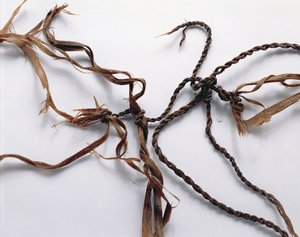Rete probabilmente usata per catturare uccelli, trovata con l